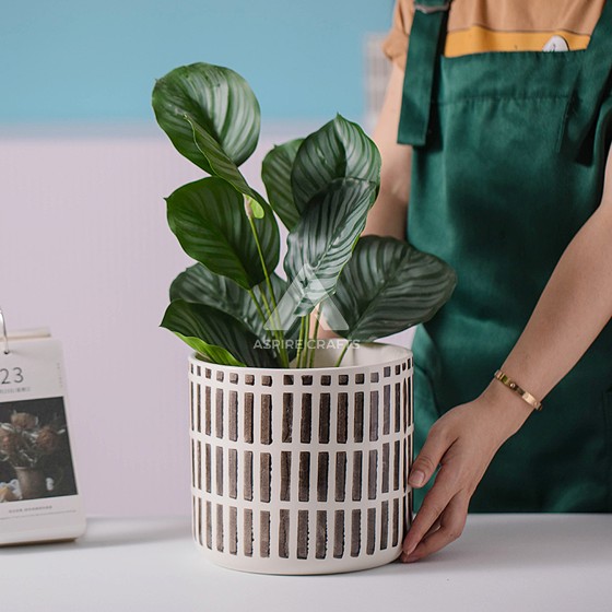 Earthy Plant Bowl