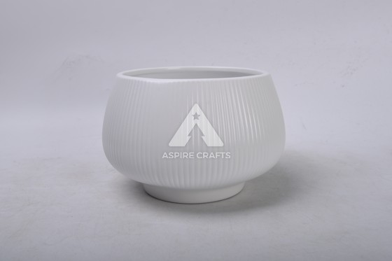 CG-SW009