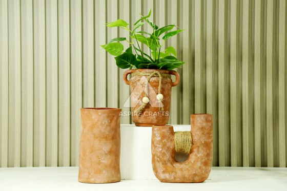 Ceramic Pots for Succulents: Stylish Display