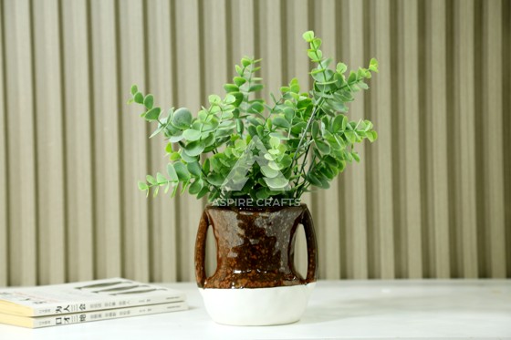 Ceramic Pots for Ivy: Letting Your Greenery Climb