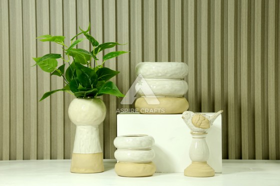 Ceramic Pots for Ferns: Creating a Tropical Oasis in Your Home