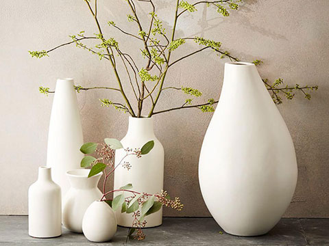 Tips for Choosing Your Ideal Vase